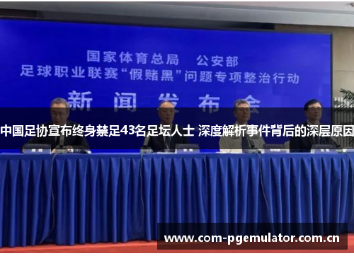 中国足协宣布终身禁足43名足坛人士 深度解析事件背后的深层原因 中国足协宣布终身禁足43名足坛人士 深度解析事件背后的深层原因