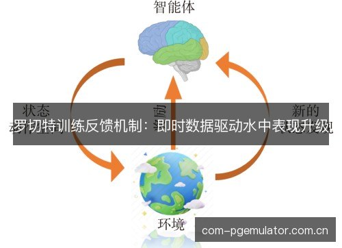 罗切特训练反馈机制:即时数据驱动水中表现升级 罗切特训练反馈机制:即时数据驱动水中表现升级