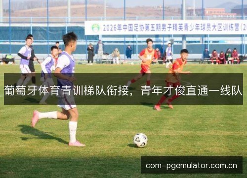 葡萄牙体育青训梯队衔接，青年才俊直通一线队